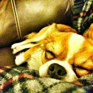 Meet your Posher, Maymuna